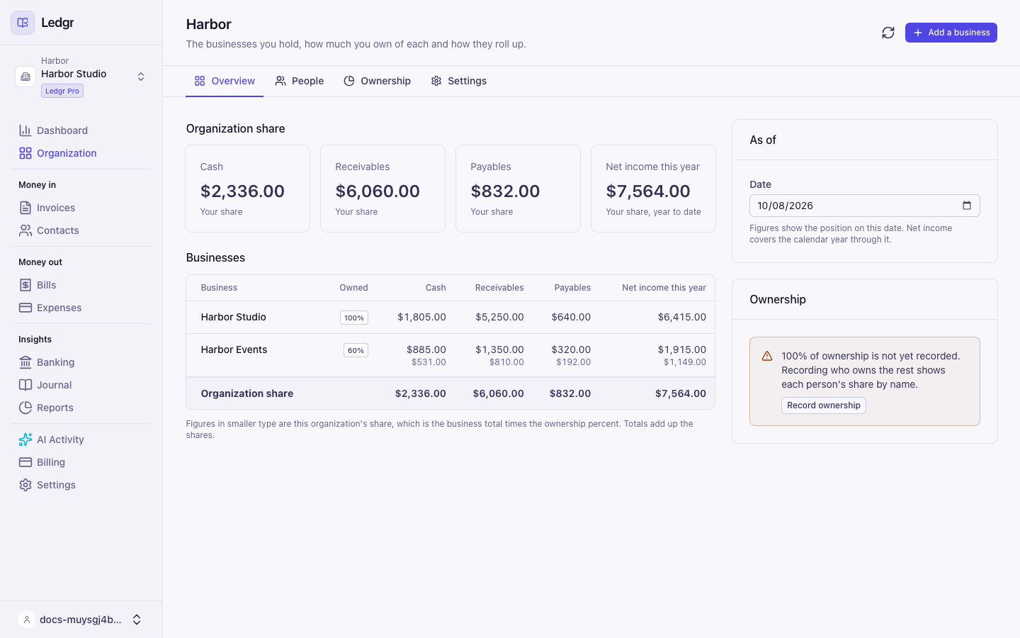 The Organization overview with the four tabs under the title, the Organization share totals, a table of two businesses and an Ownership card